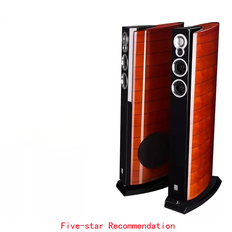 Home Cinema High End - DX-5 10 inch basvloerluidsprekers, audiofiele HiFi